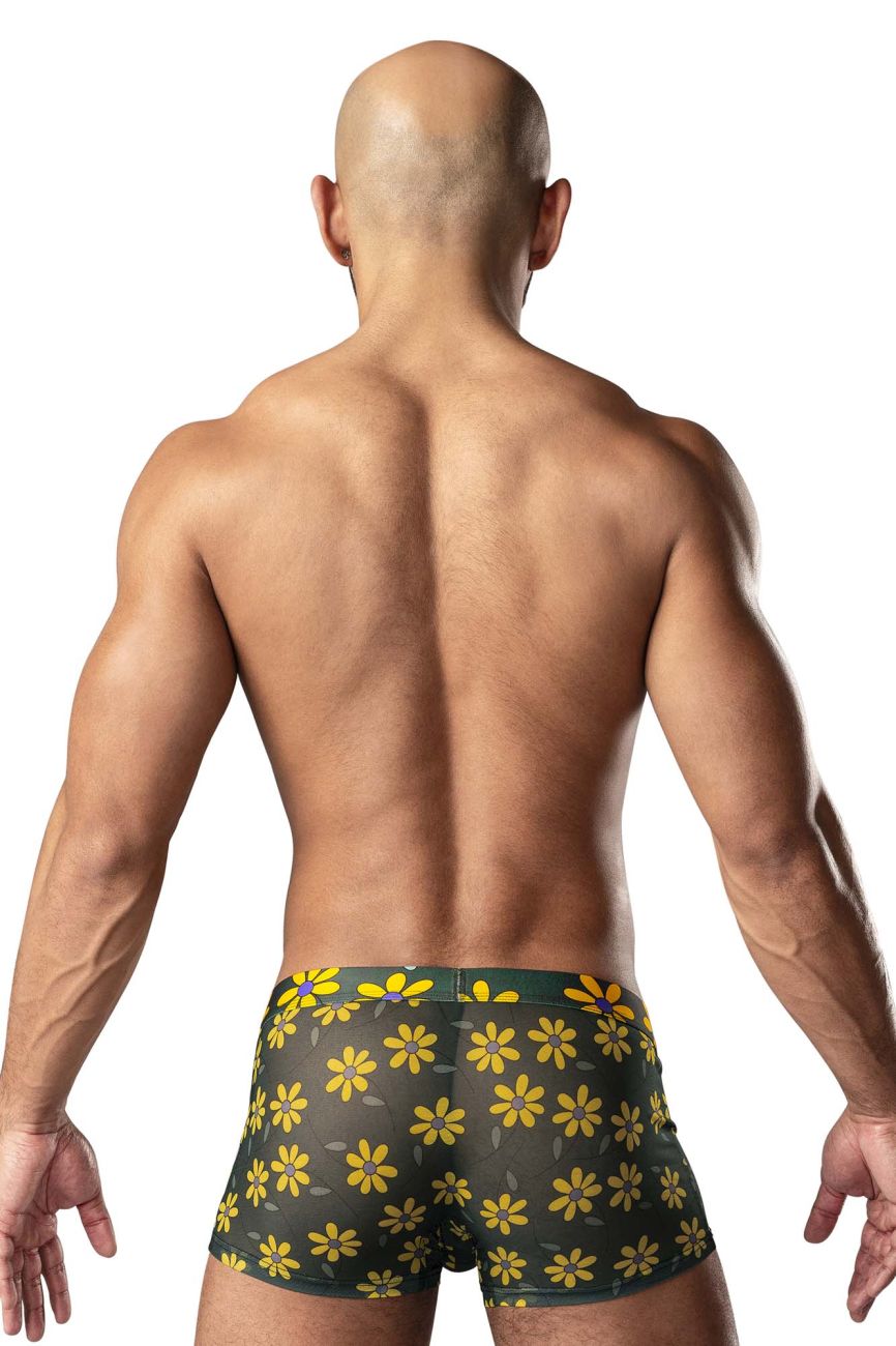 Trunks