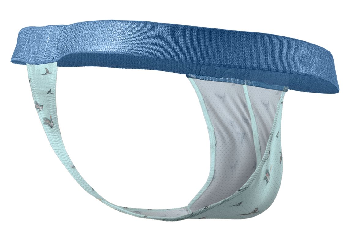 ErgoWear Men's Underwear EW1776 SLK SE G-String Color Frost-Birds