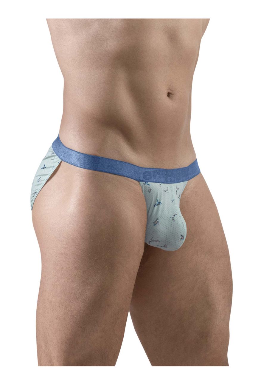 ErgoWear Men's Underwear EW1777 SLK SE Bikini Color Frost-Birds