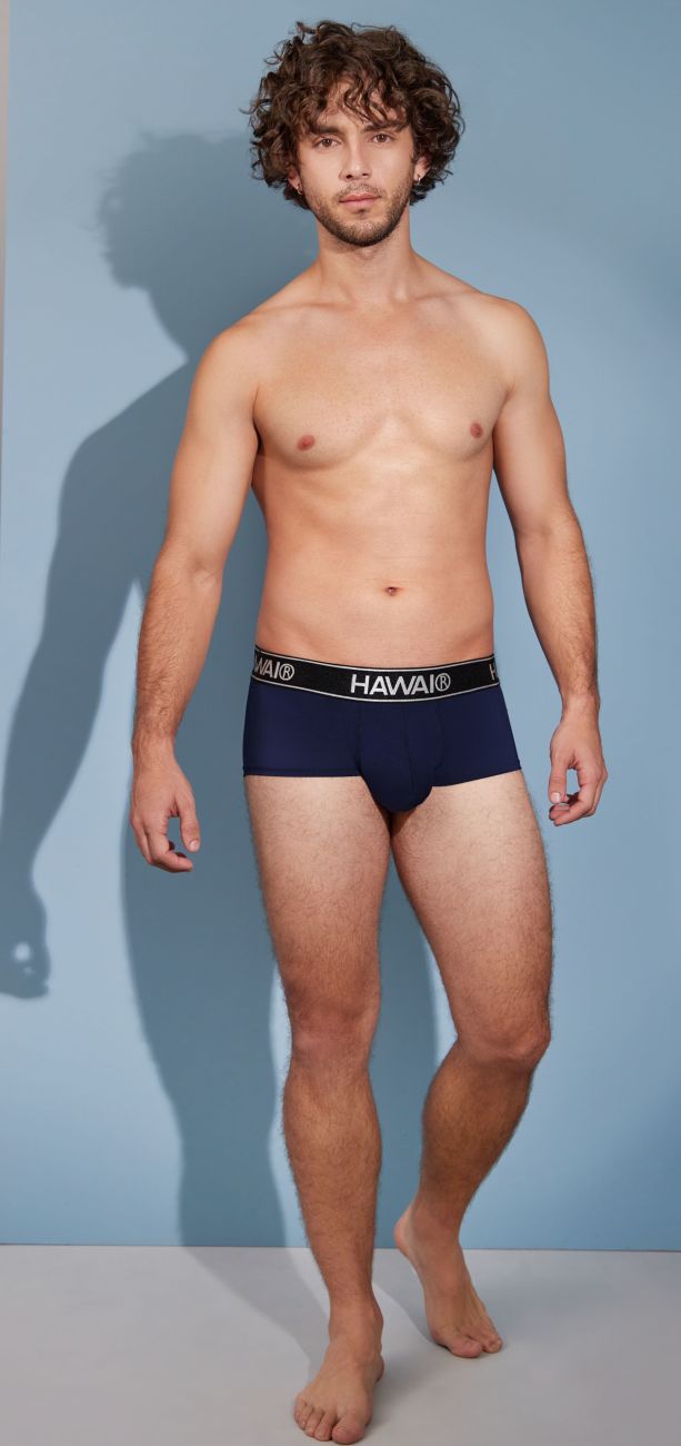 HAWAIR Men's Underwear 41961 Microfiber Briefs Color Dark Blue