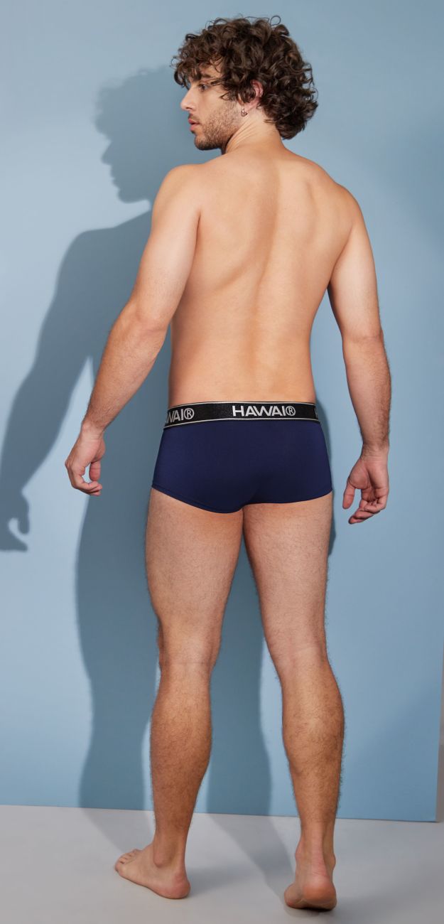 HAWAIR Men's Underwear 41961 Microfiber Briefs Color Dark Blue