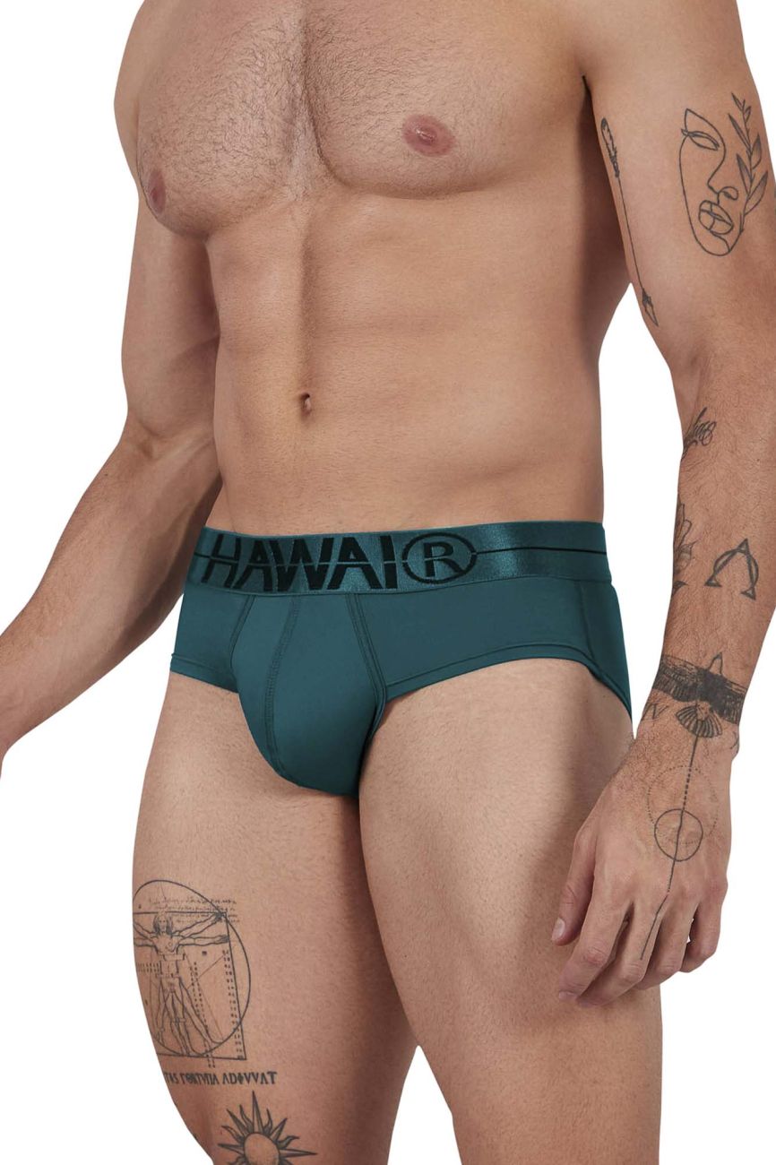 HAWAIR Men's Underwear 41963 Microfiber Briefs Color Green