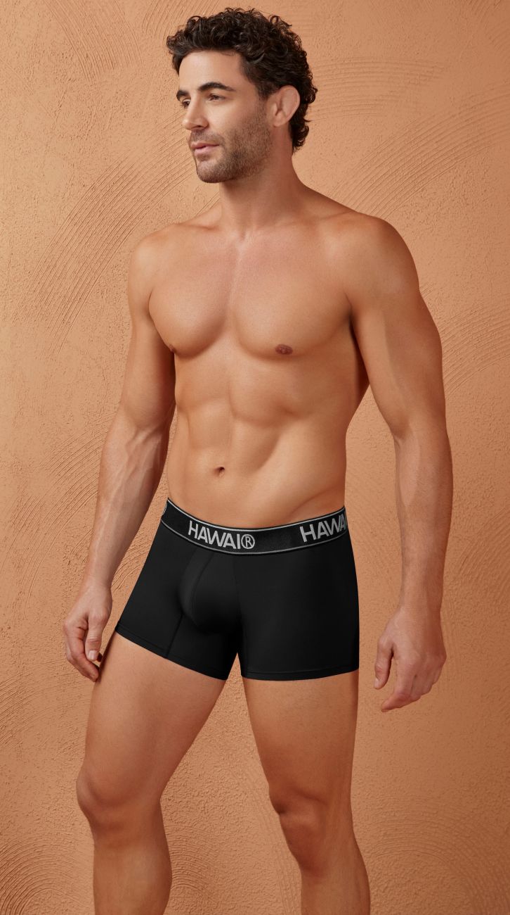 HAWAIR Men's Underwear 41977 Microfiber Trunks Color Black-01
