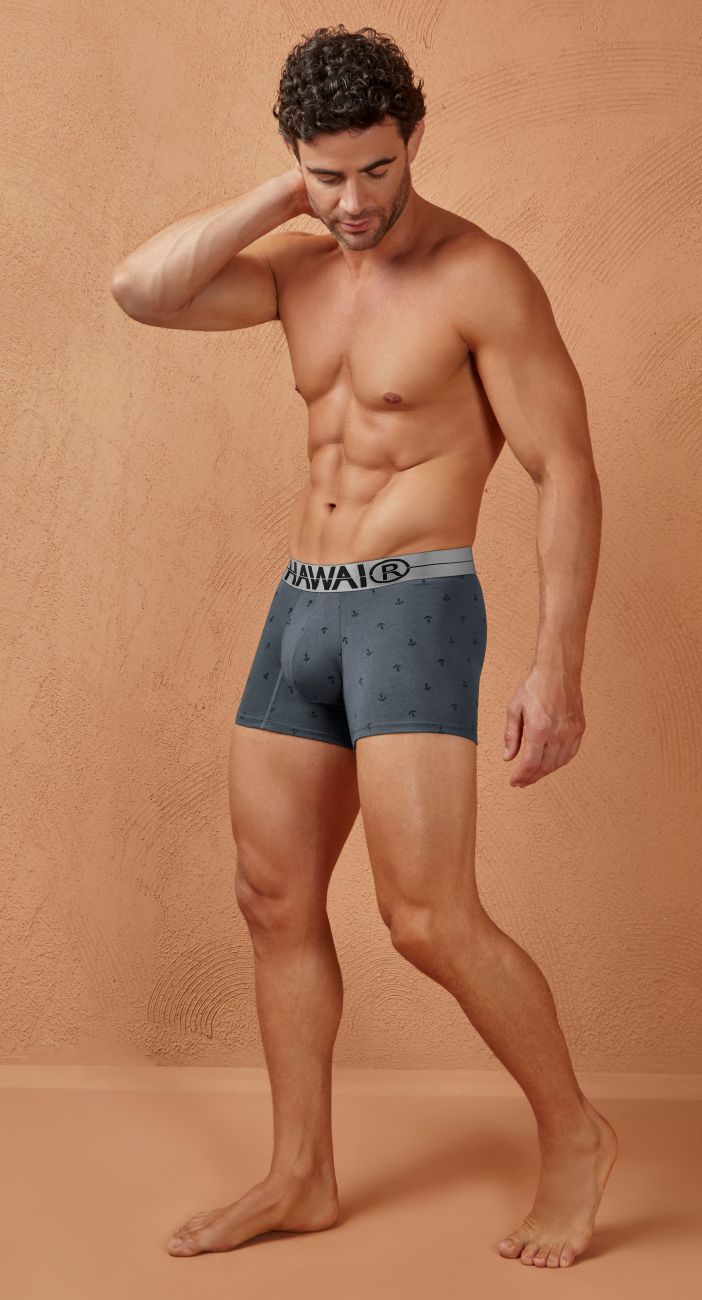 HAWAIR Men's Underwear 42521 Cotton blend Trunks Color Gray