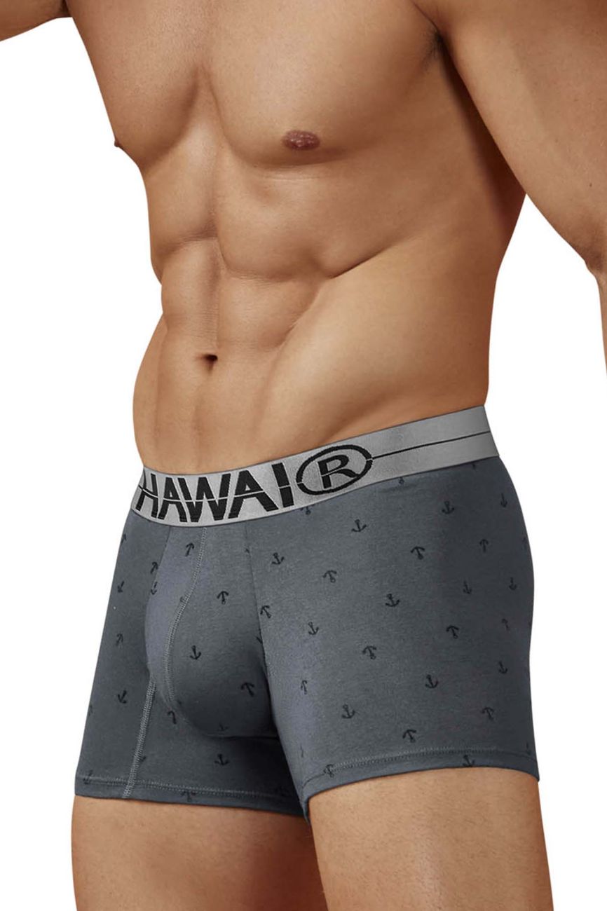 HAWAIR Men's Underwear 42521 Cotton blend Trunks Color Gray