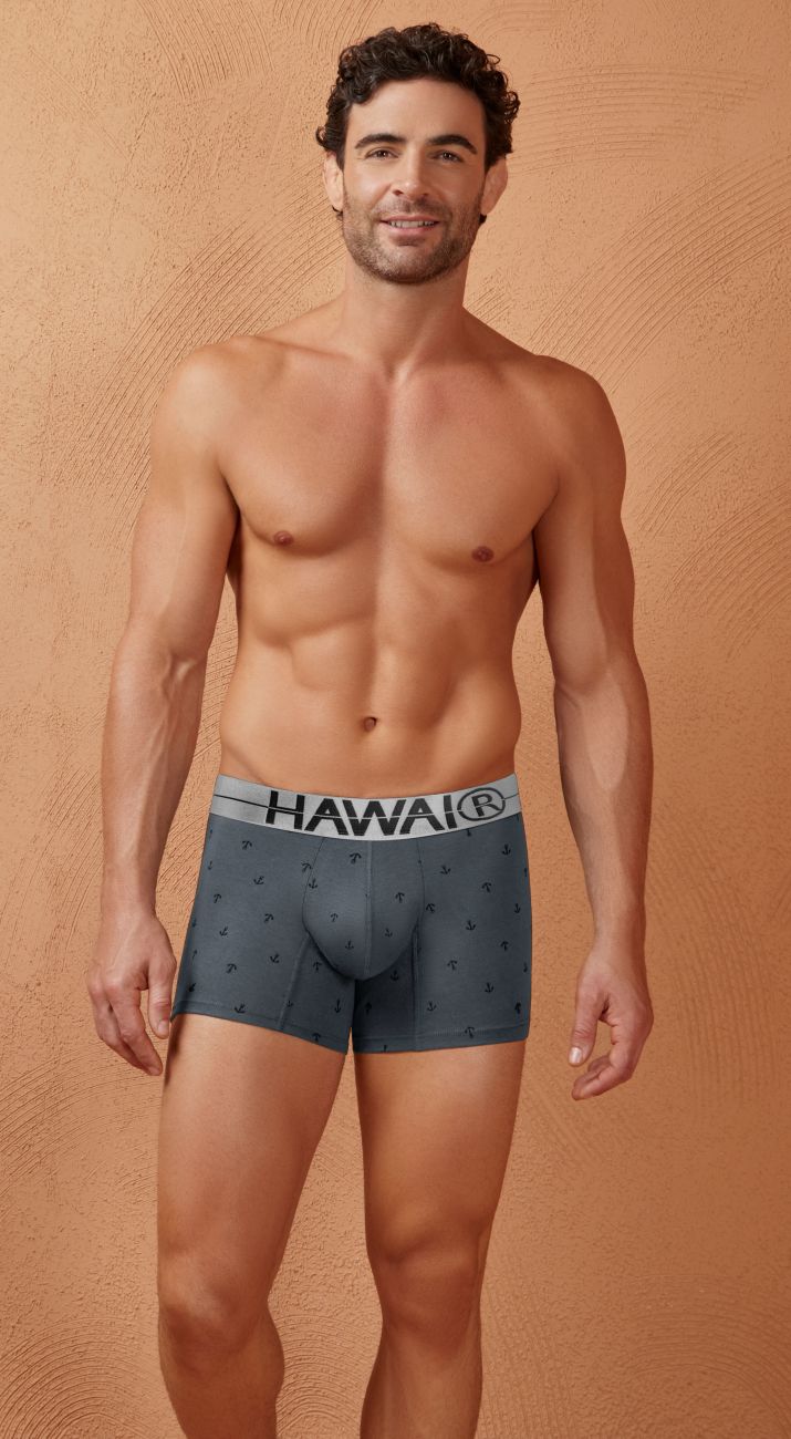HAWAIR Men's Underwear 42521 Cotton blend Trunks Color Gray