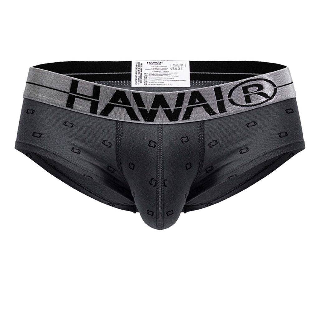 HAWAIR Men's Underwear 42531 Cotton blend Briefs Color Gray