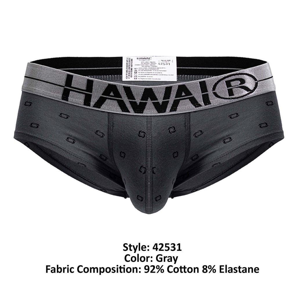HAWAIR Men's Underwear 42531 Cotton blend Briefs Color Gray