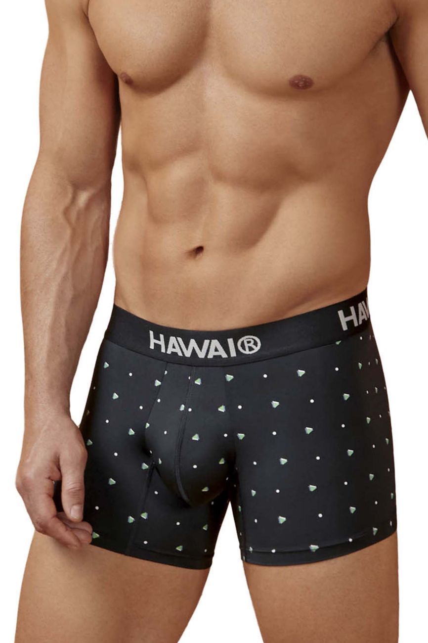 HAWAIR Men's Underwear 42570 Microfiber Trunks Color Black