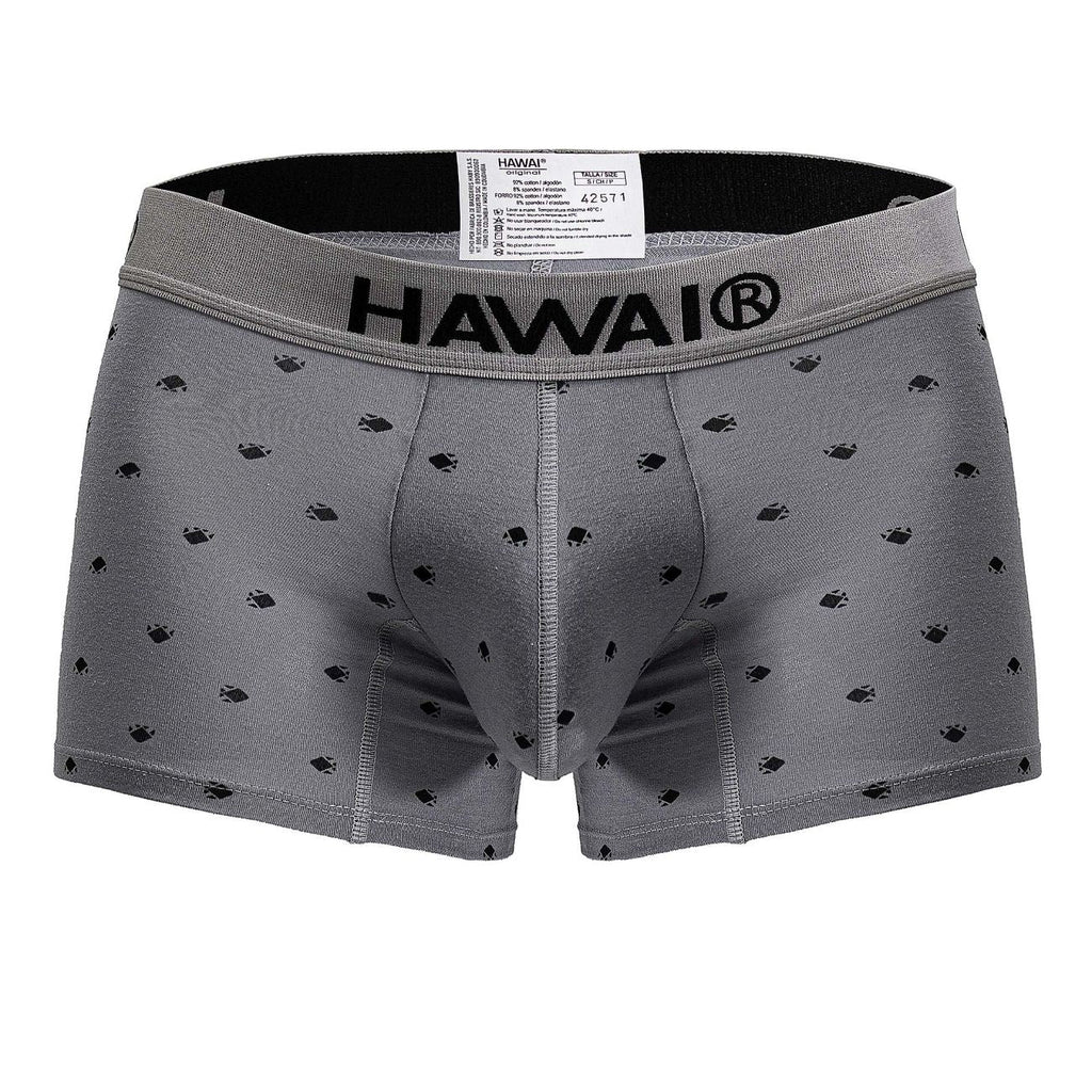 HAWAIR Men's Underwear 42571 Cotton blend Trunks Color Gray