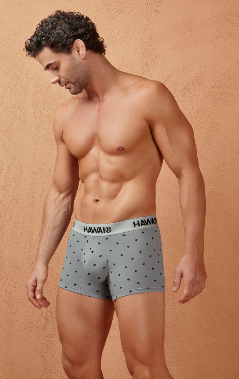 HAWAIR Men's Underwear 42571 Cotton blend Trunks Color Gray