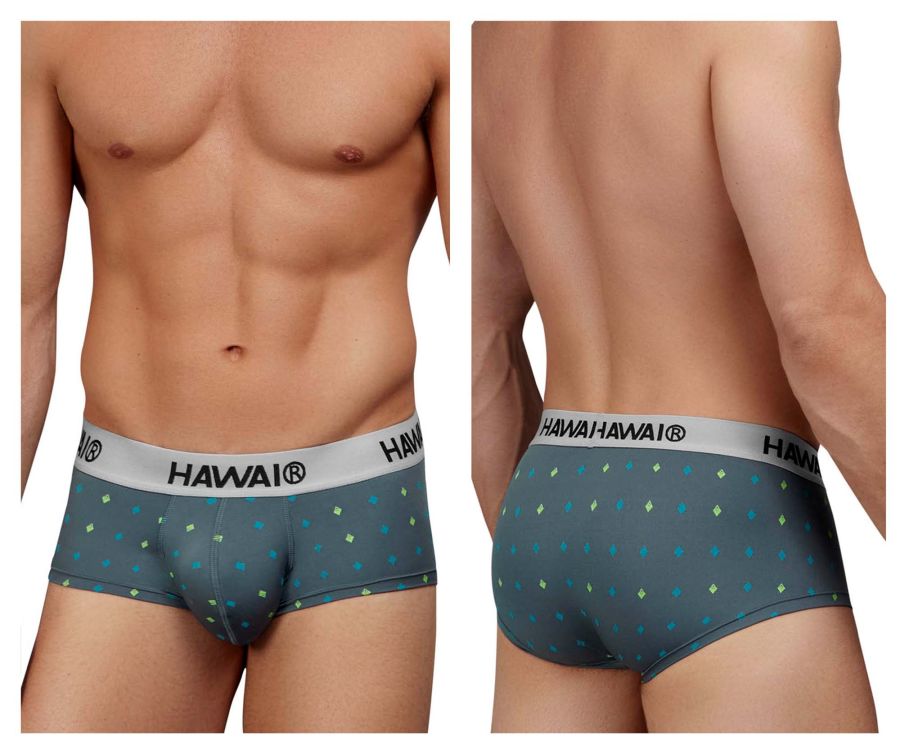 HAWAIR Men's Underwear 42580 Microfiber Briefs Color Gray
