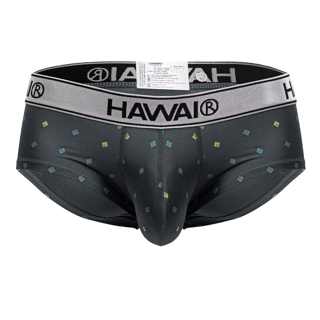 HAWAIR Men's Underwear 42580 Microfiber Briefs Color Gray