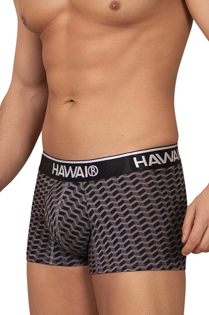 HAWAIR Men's Underwear 42371 Printed Trunks Color Gray