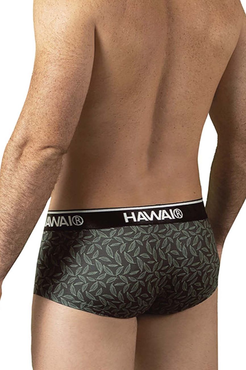 HAWAIR Men's Underwear 42380 Printed Briefs Color Green