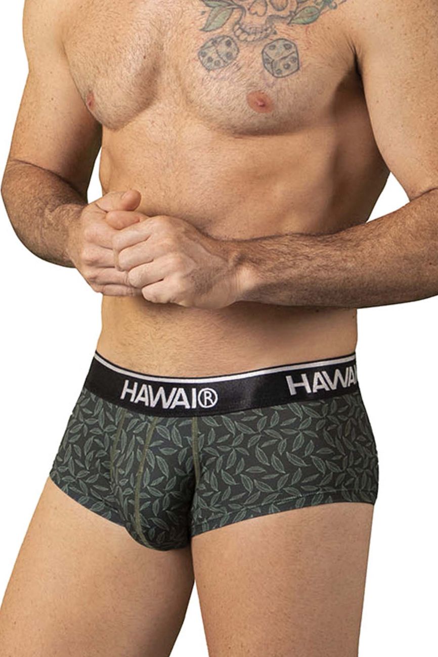 HAWAIR Men's Underwear 42380 Printed Briefs Color Green