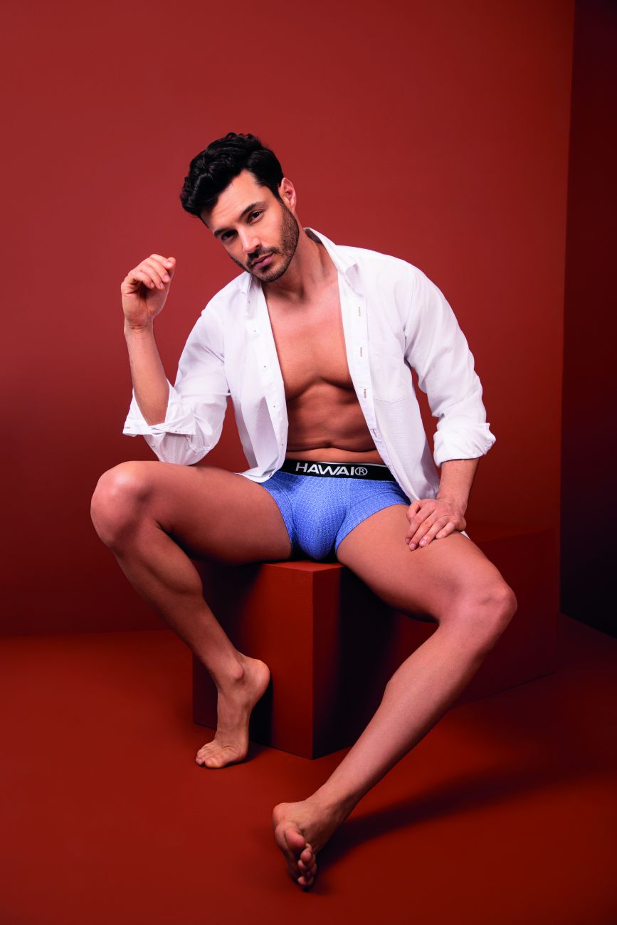 HAWAIR Men's Underwear 42431 Printed Briefs Color Blue