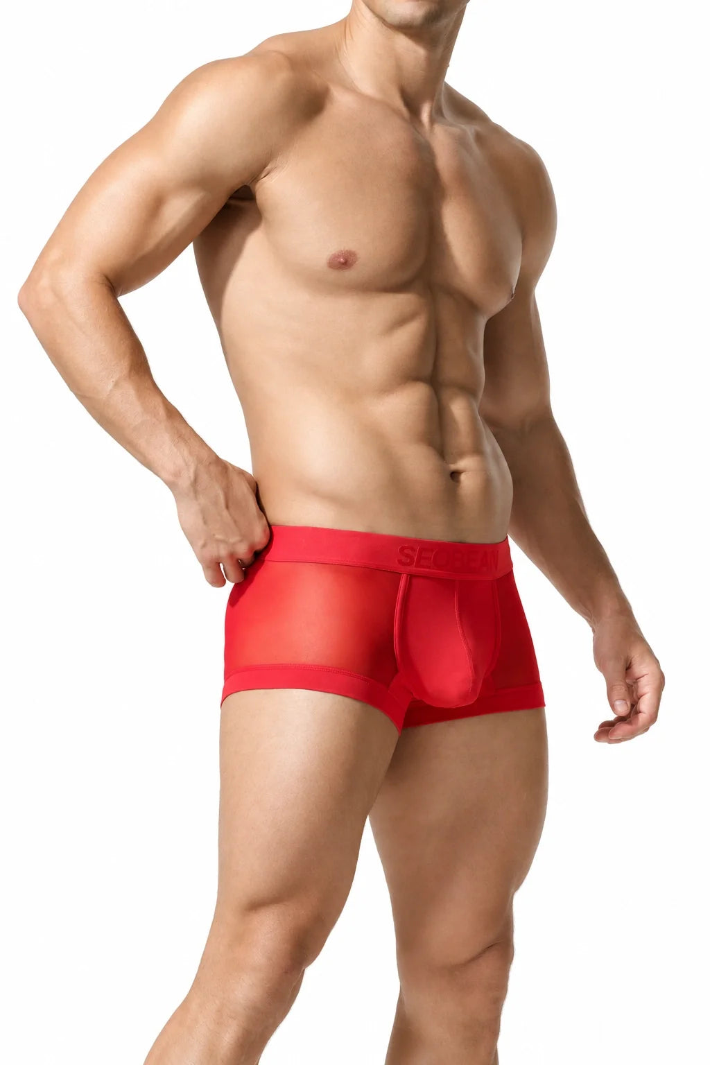 Men’s Transparent Boxer Briefs – Breathable & Sexy