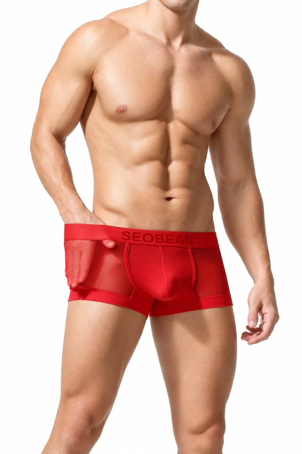 Men’s Transparent Boxer Briefs – Breathable & Sexy