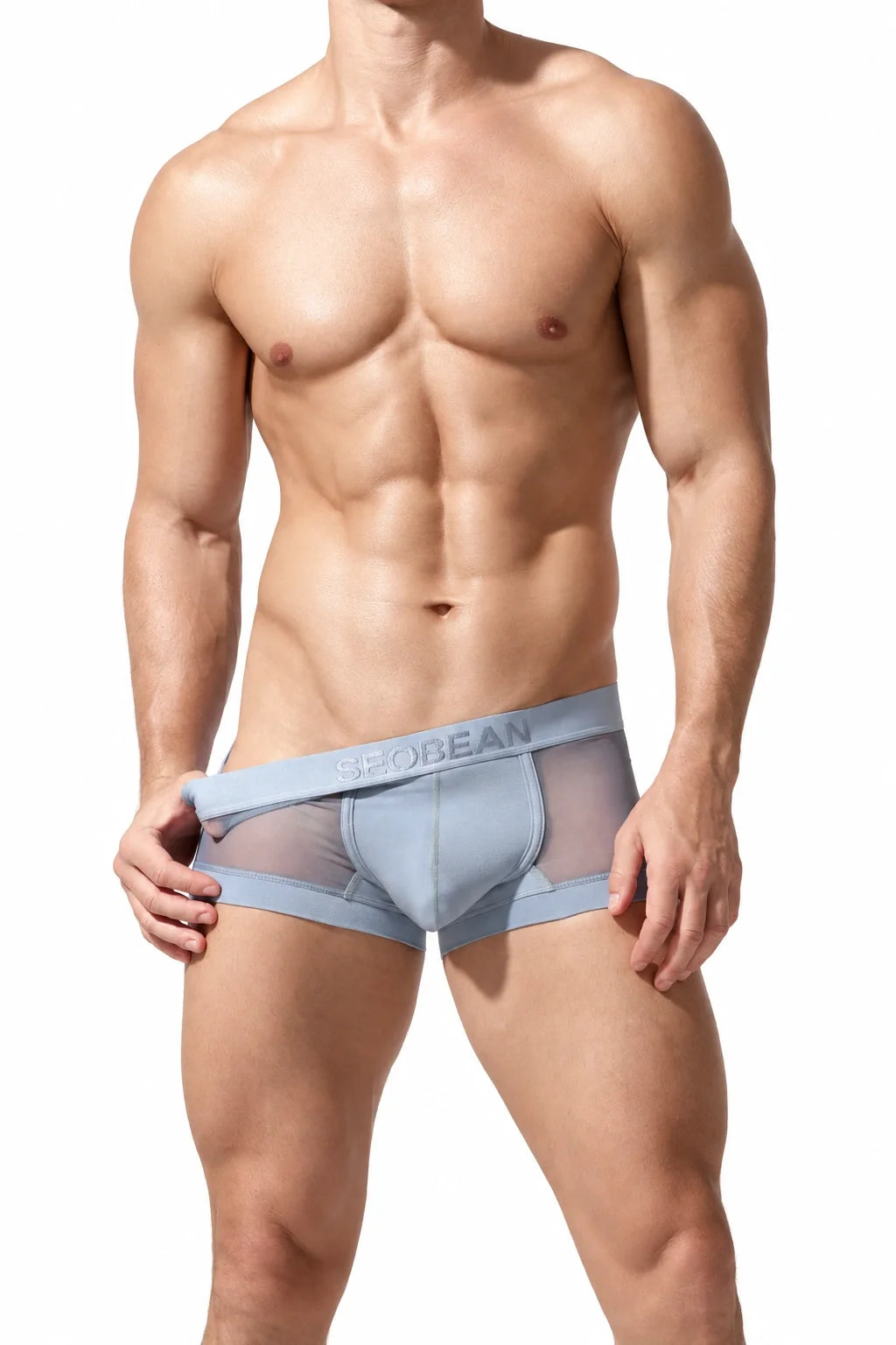 Men’s Transparent Boxer Briefs – Breathable & Sexy