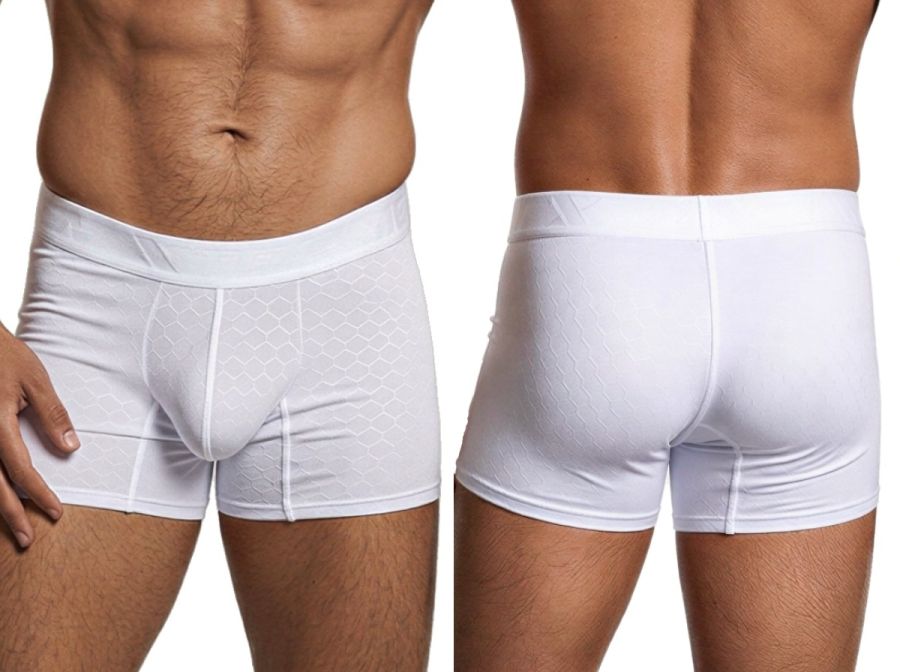 Xtremen 91256 Men's Underwear Sleek Microfiber Boxer Briefs Color White